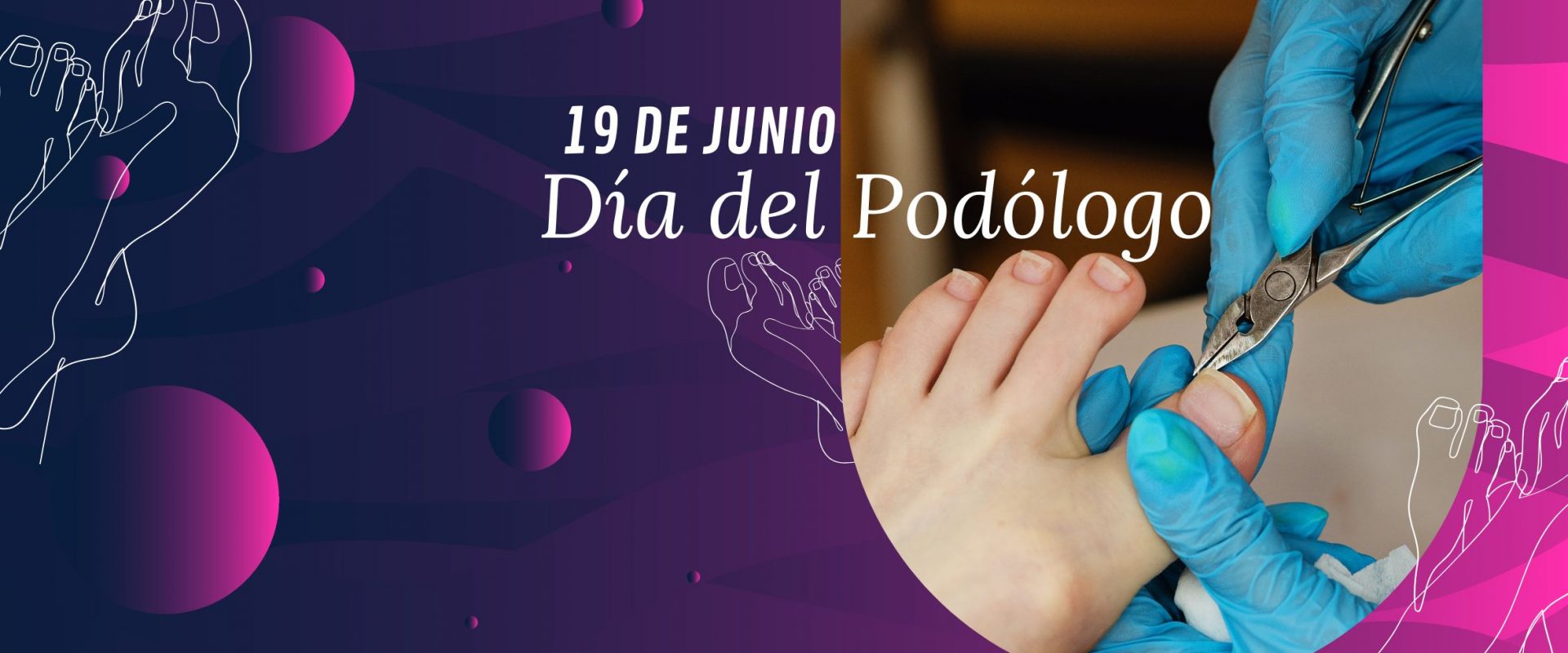 REEL PAGINA WEB (1)