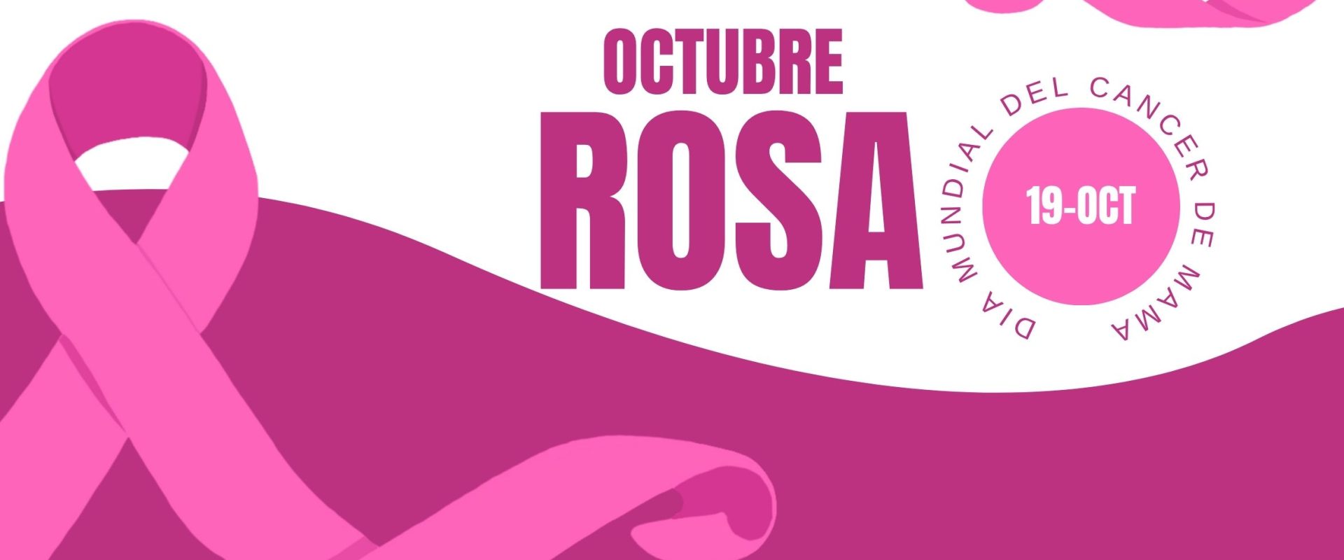 REEL PAGINA WEB (5)